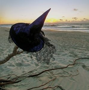 Meet your Posher, Vonda